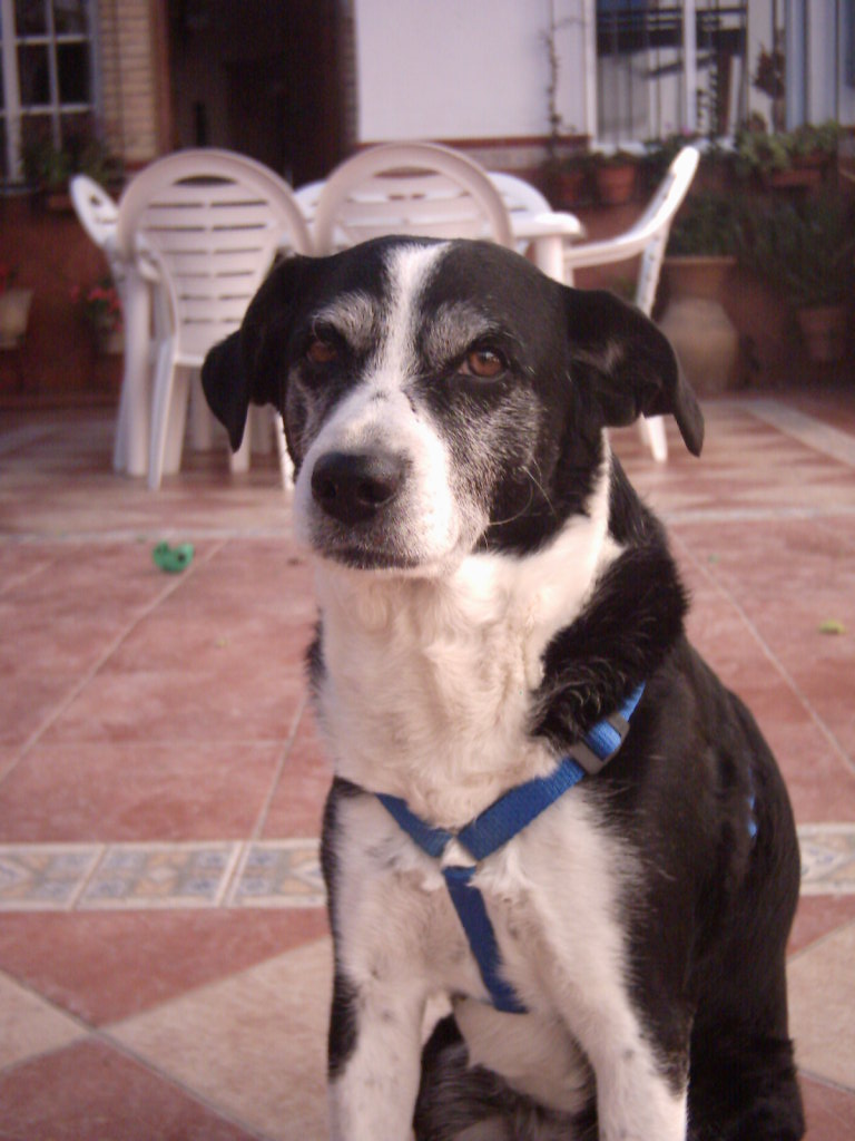 IMAGE0037.JPG