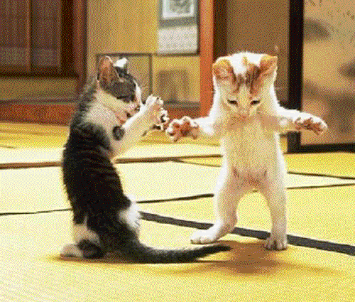 image0044.gif