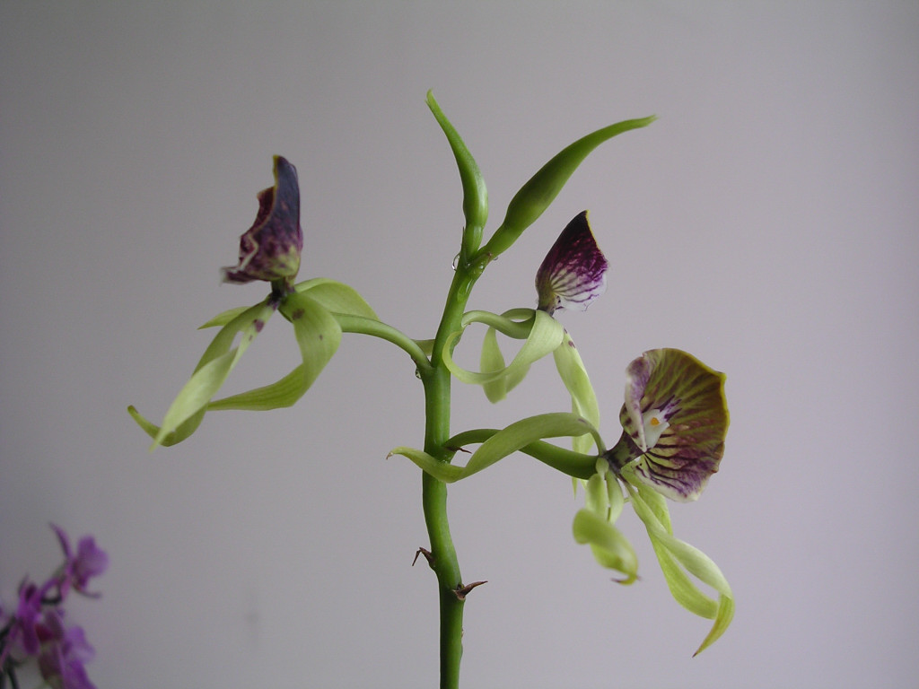 image0063.jpg