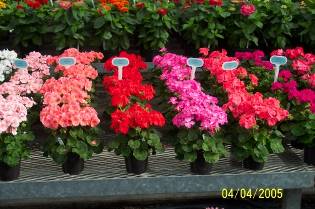 image010.jpg