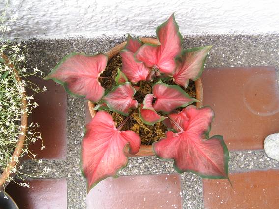 image012.jpg