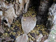 image013.jpg