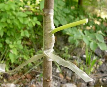 image016.jpg