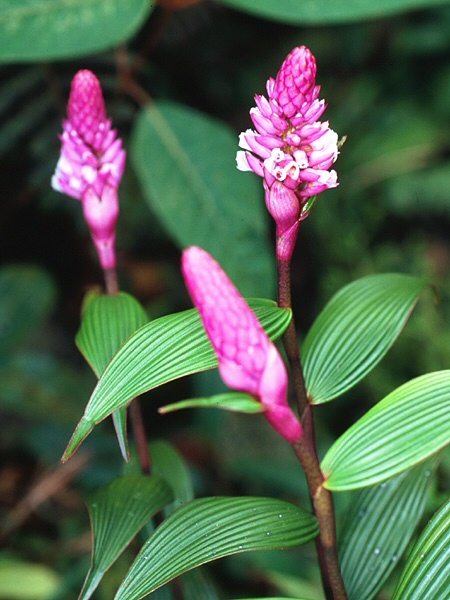image017.jpg