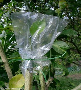 image017.jpg