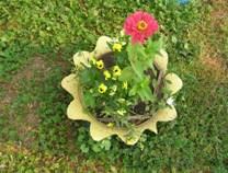 image051.jpg