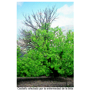 image053.gif