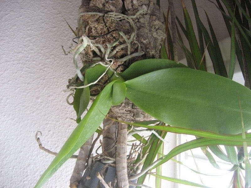 Image1.jpg