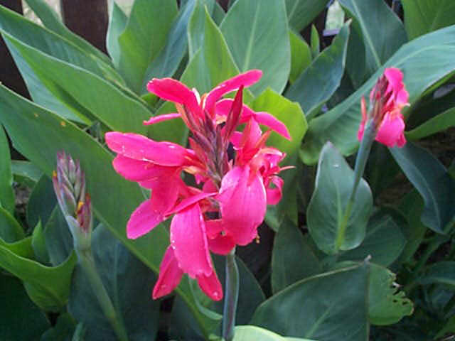 image197.jpg