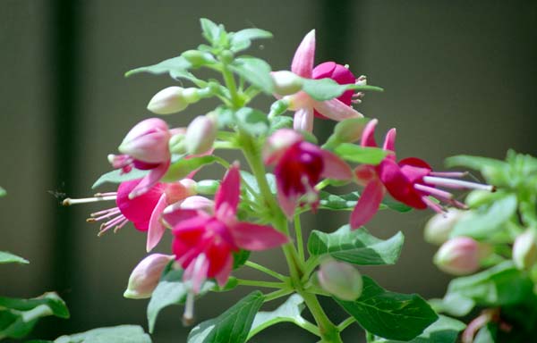 Image3.jpg