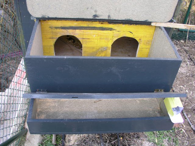 image3.jpg