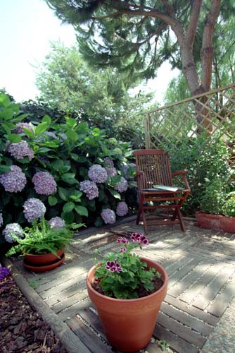 Image5.jpg