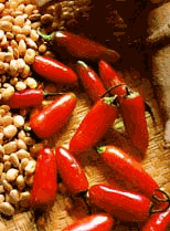 Image508.gif
