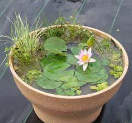 Image6.jpg