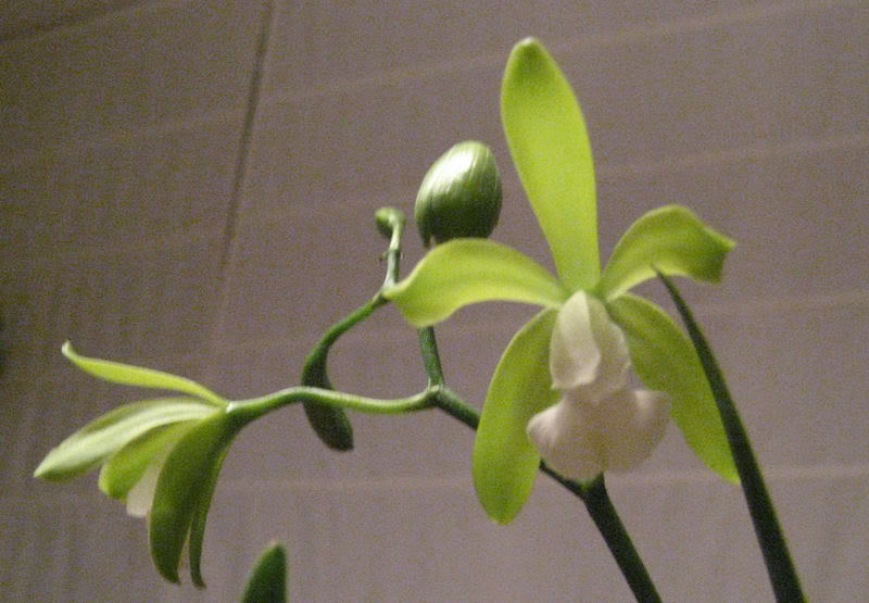 Image8.jpg
