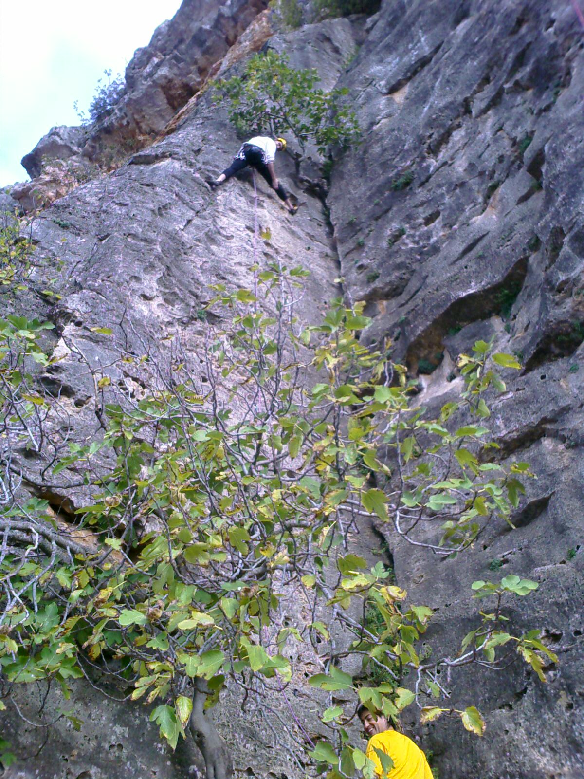 image_00574.jpg
