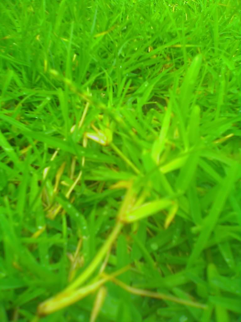 IMAGE_026.jpg
