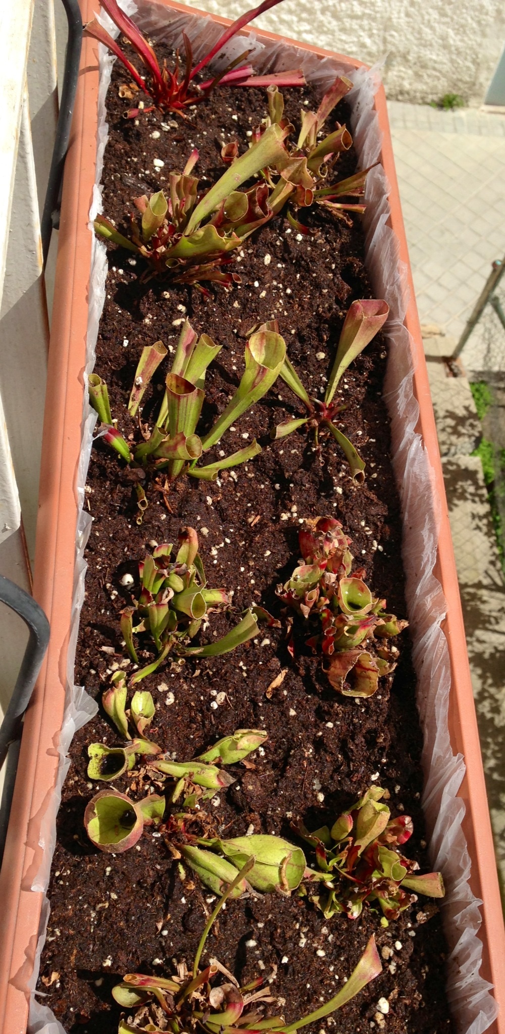 image_1365276508_435746.jpg