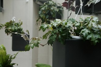image_1_preview.jpg