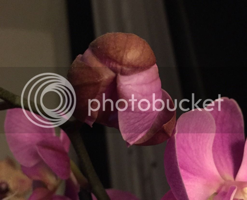 image_2.jpe