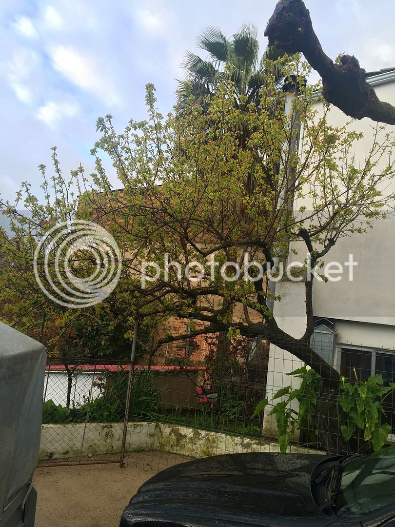 image_zps8wrmkwoa.jpe