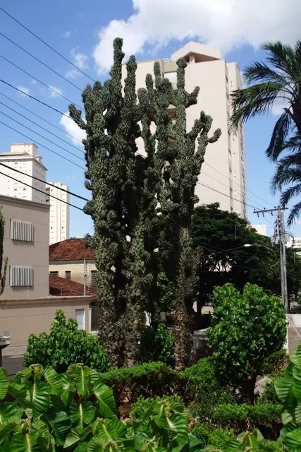 Imagem072.jpg