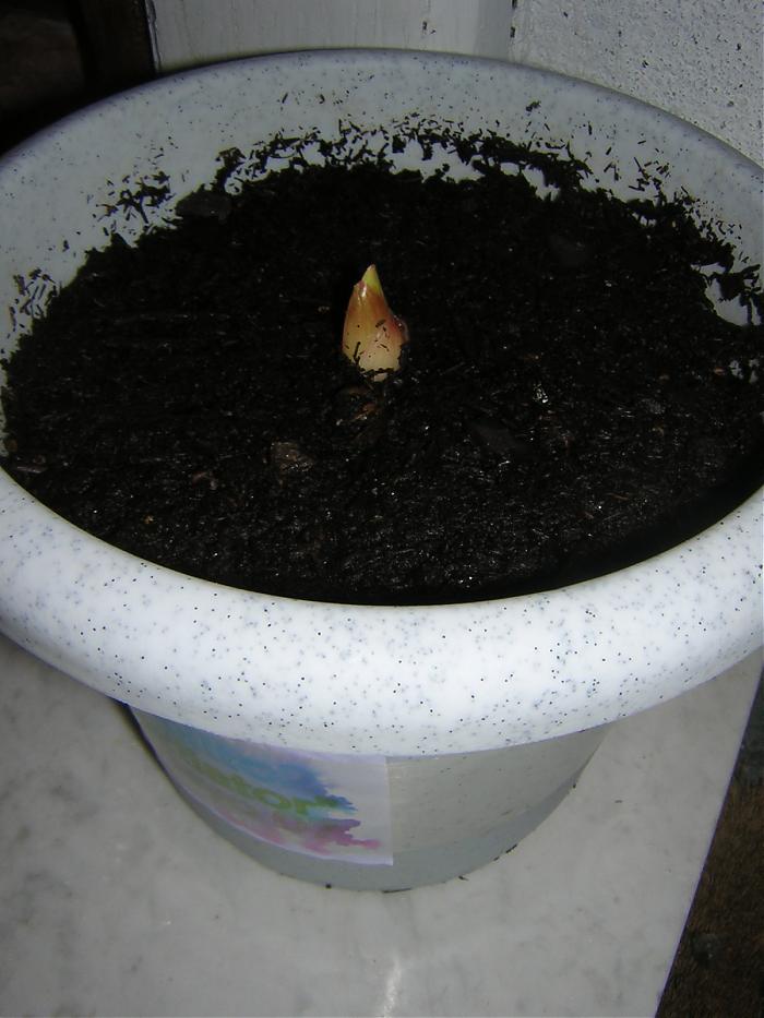 Imagen 001.jpg