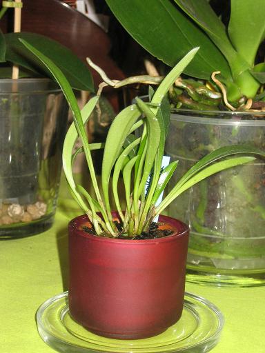 Imagen 004.jpg