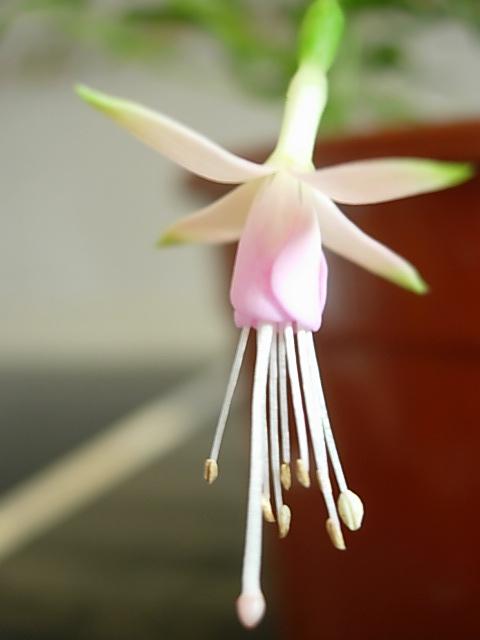 Imagen 004.jpg