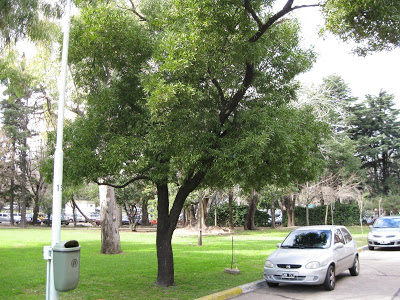 Imagen+005.jpg