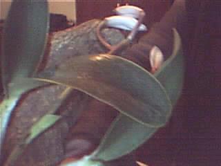 Imagen 008.jpg