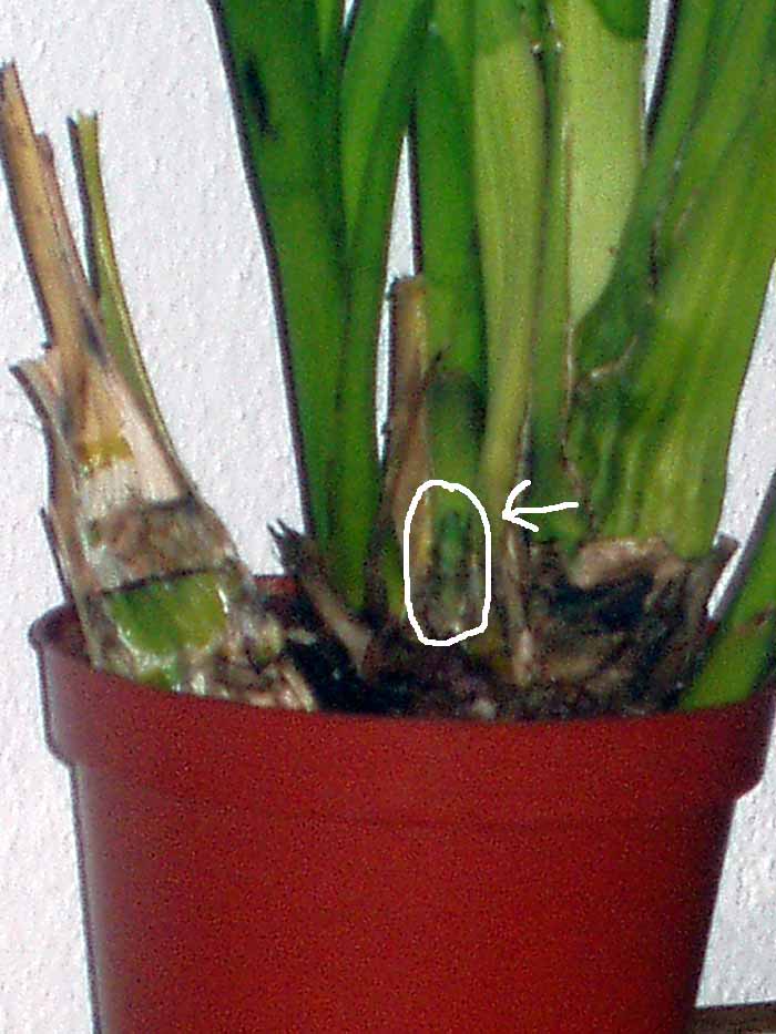 Imagen 043.jpg