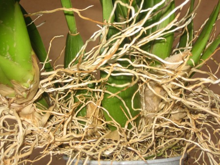 Imagen 044.jpg