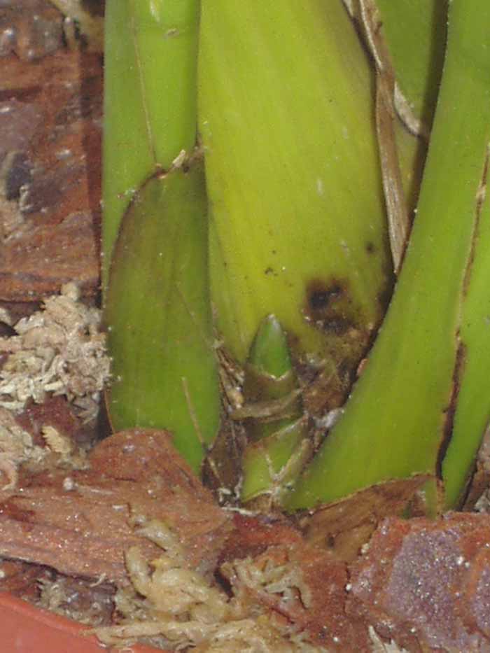Imagen 046.jpg