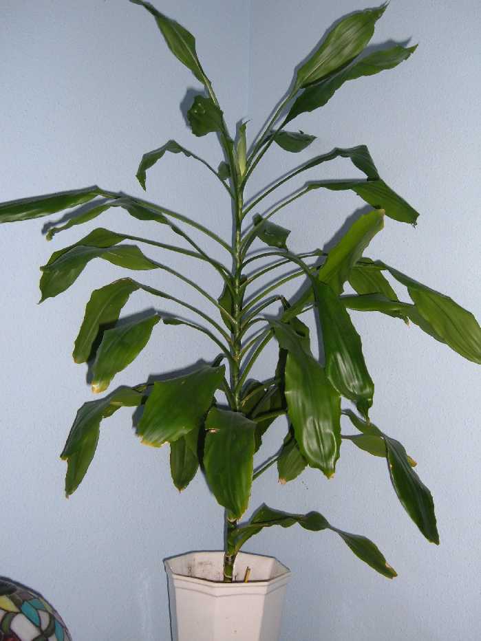 Imagen 050.jpg