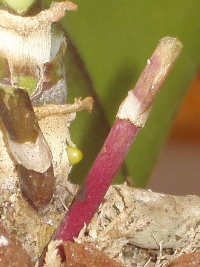 Imagen 053.jpg