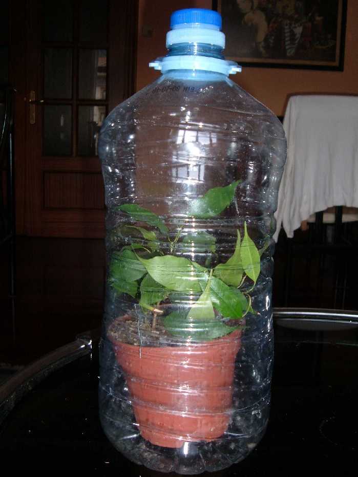 Imagen 097.jpg
