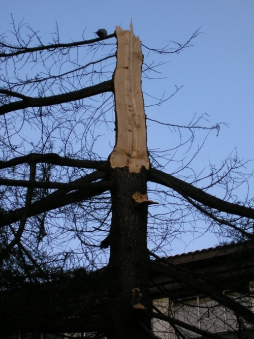 Imagen%20001%7E23.jpg