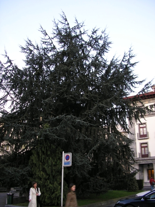 Imagen%20002%7E14.jpg