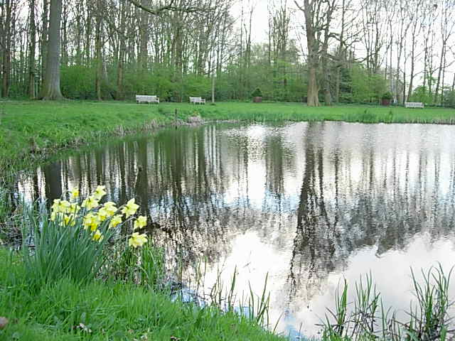 Imagen%20006%7E17.jpg