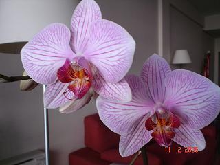 Imagen%20007%7E1.JPG