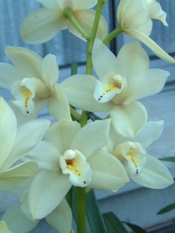 Imagen%20011%7E0.jpg
