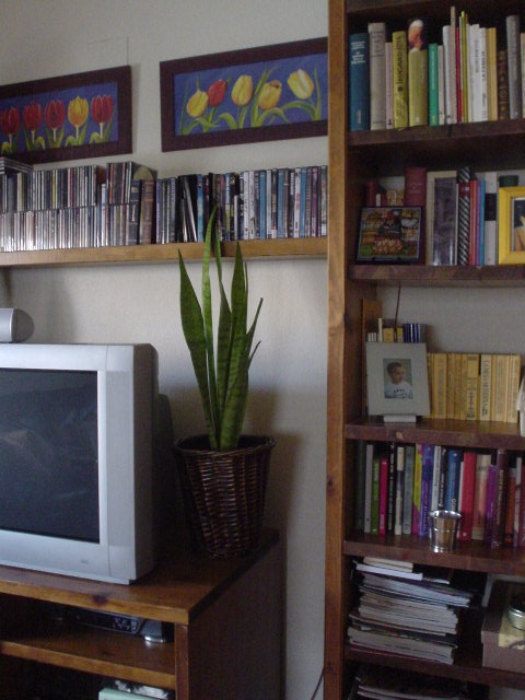 Imagen%20015%7E1.jpg