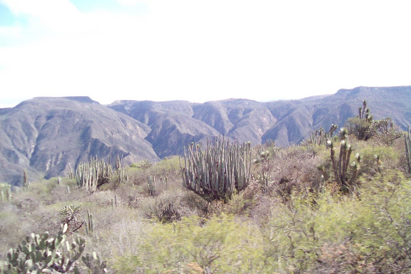Imagen%20020.jpg