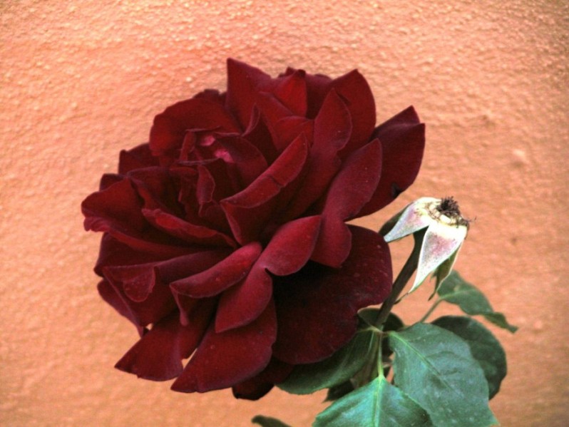 Imagen%20022.jpg