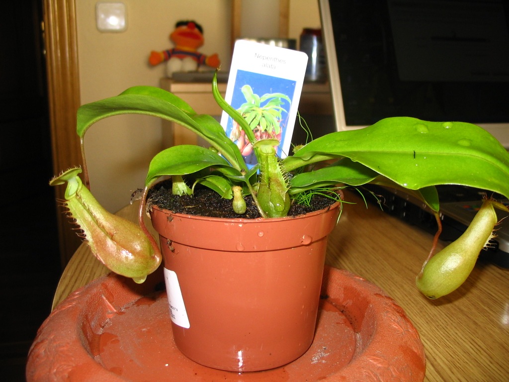 Imagen%20032%7E3.jpg