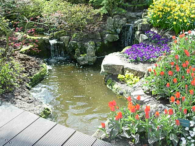 Imagen%20044%7E2.jpg