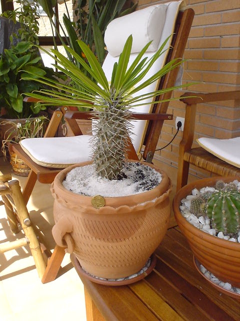 Imagen%20044.jpg
