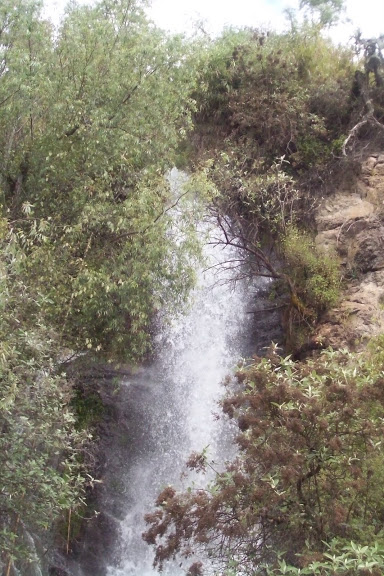Imagen%20058.jpg