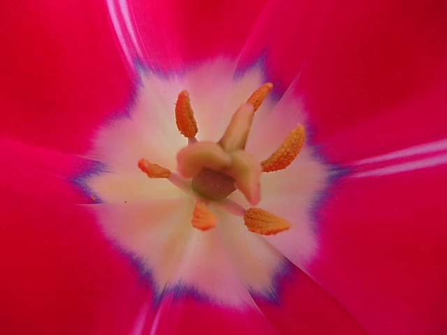 Imagen%20083%7E3.jpg